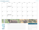 2026 AIWC Calendar