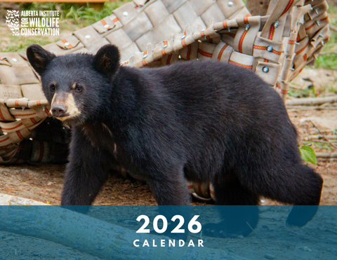 2026 AIWC Calendar