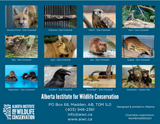 2024 AIWC Calendar